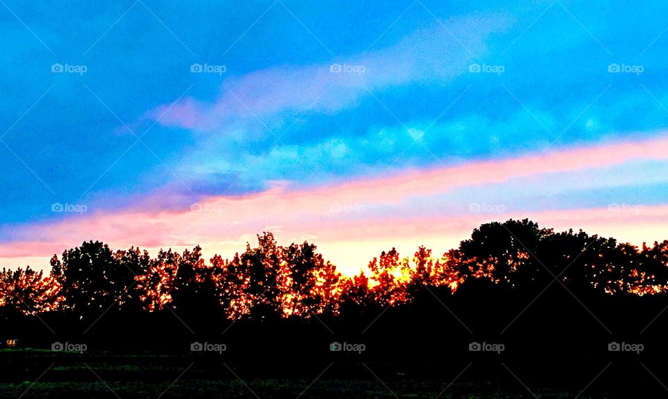 Brilliant pink, blue, orange, and red sunset on horizon framing trees on landscape across field in summer