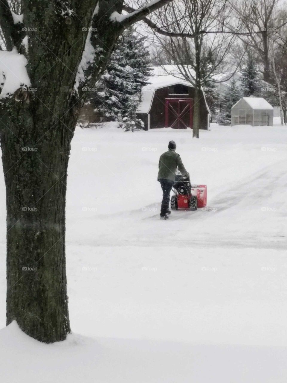Clearing the Driveway