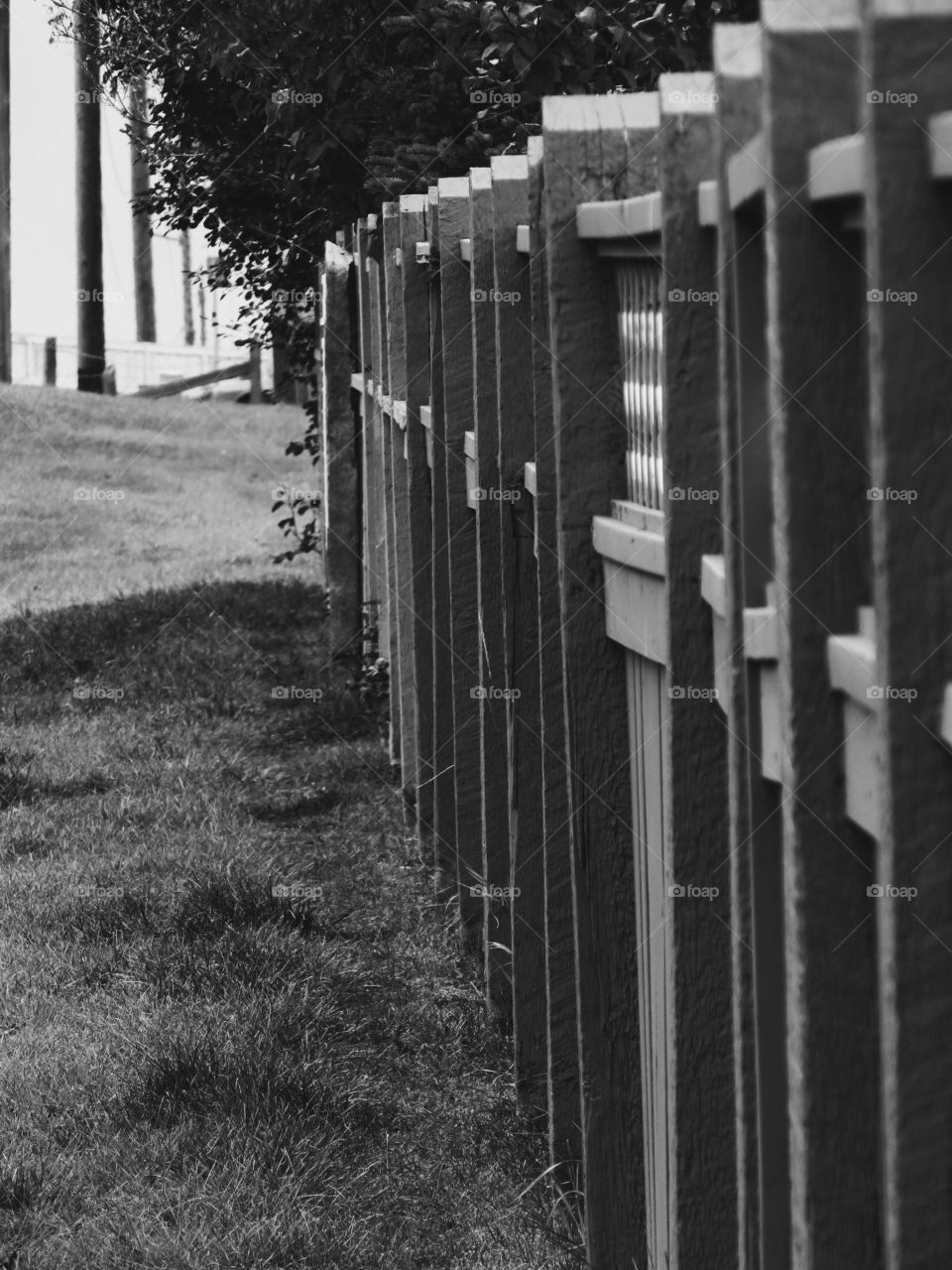 Fence in black and white, on my walk this morning