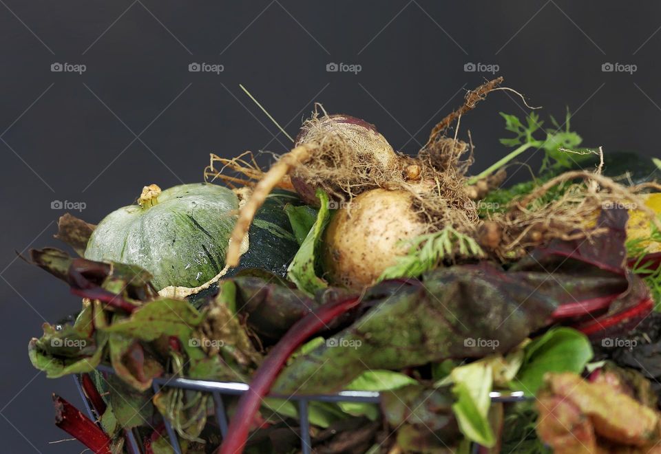 Fall harvest basket.