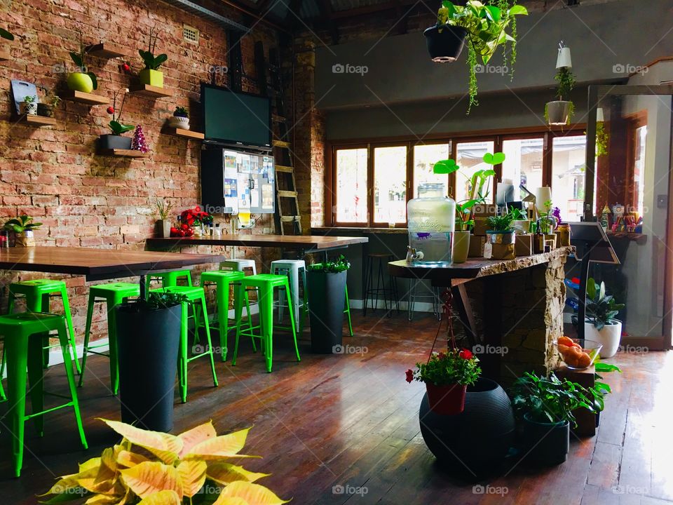 Day out at the cafe.