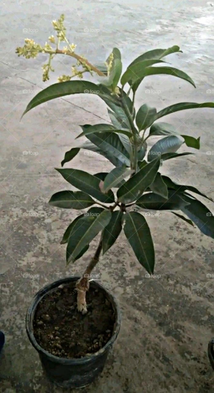 A most beautiful and attractive view.