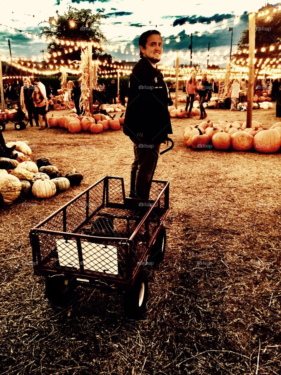 Pumpkin picking in Dallas Texas 