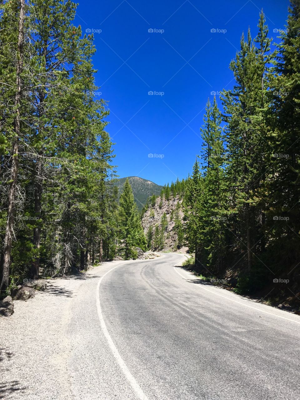Yellowstone Road