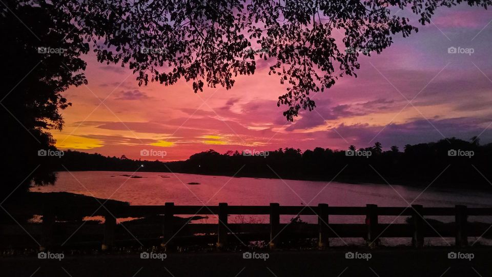 Standing at the shore is where I must be____✨