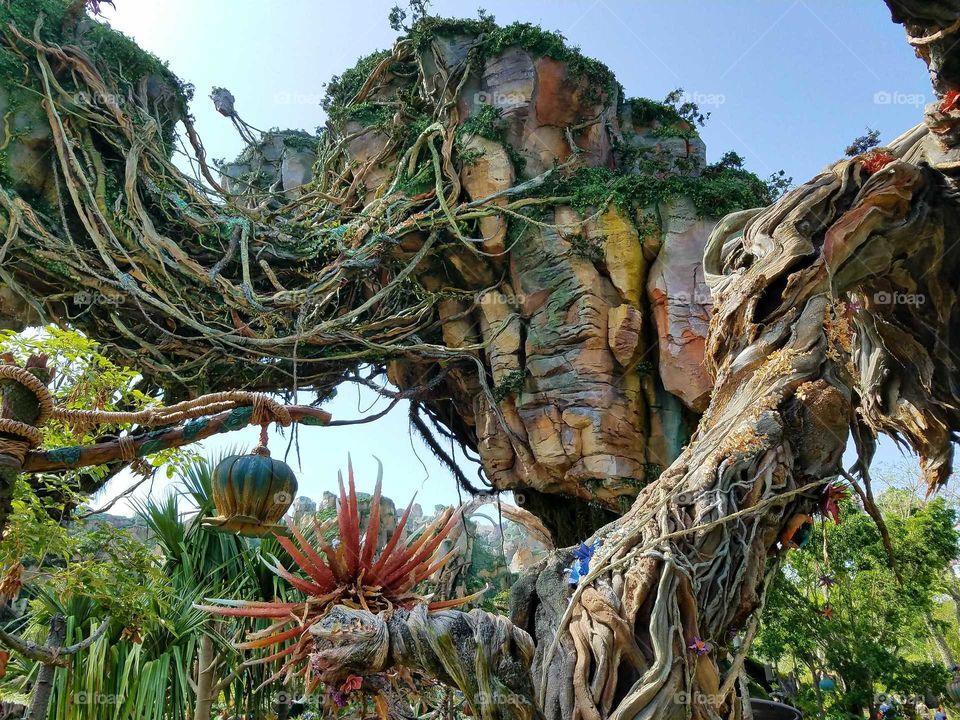 The World of Pandora at Disney's Animal Kingdom