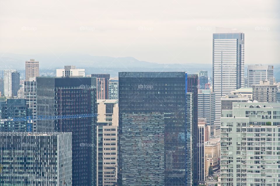 Skyscrapers in Seattle 