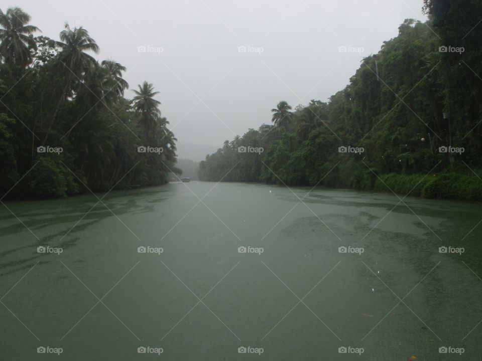 Water, Landscape, Tree, No Person, Beach