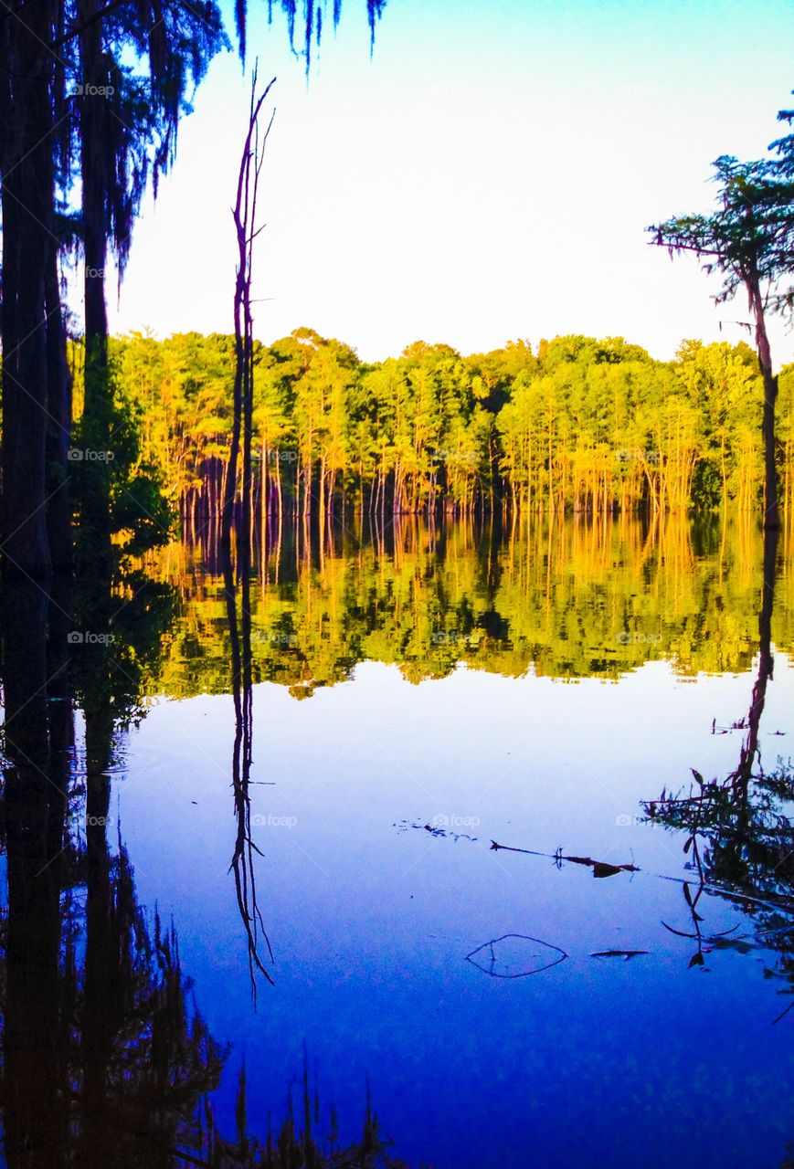 Scenic lake beauty 