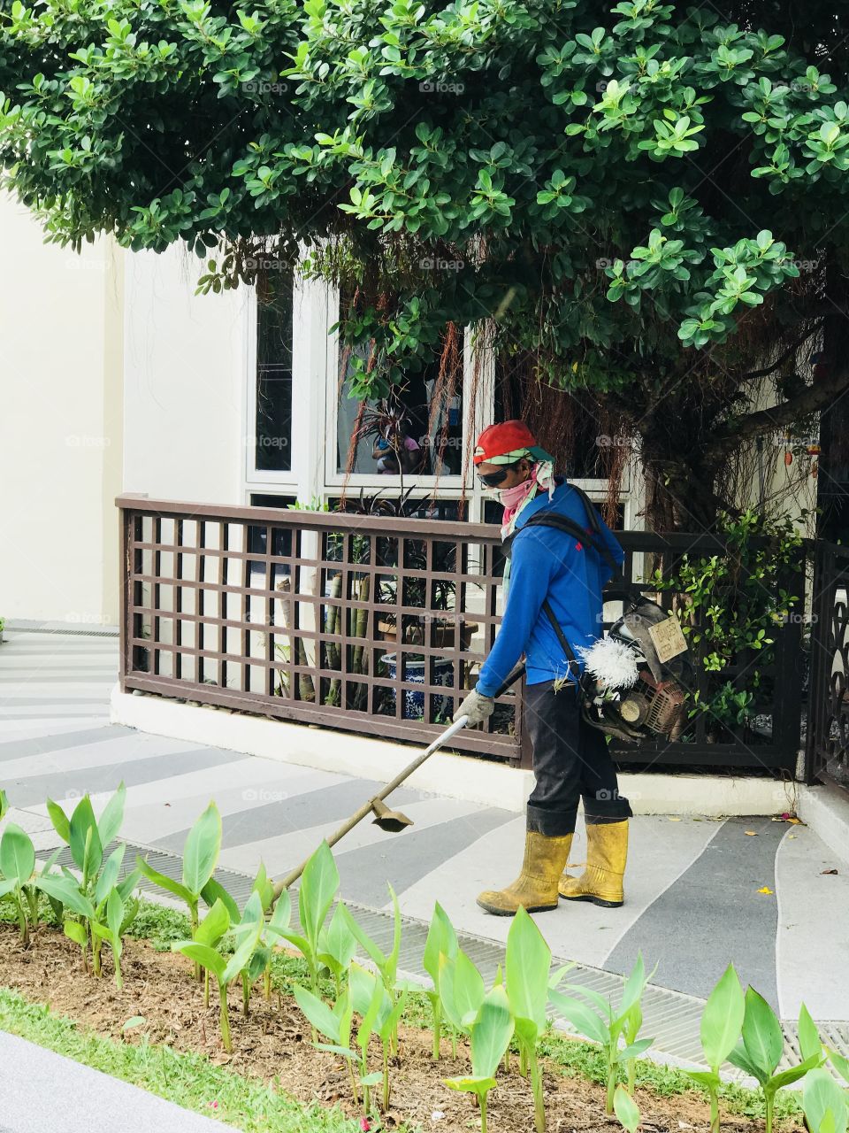 Person in work, Garden cleaning