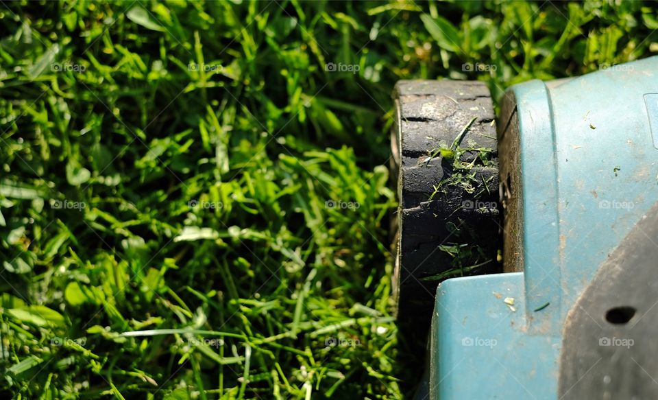 lawnmower mowing grass, top view 