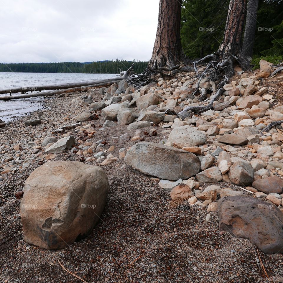A prominent boulder on a rocky lakeshore with trees at the forests edge. 