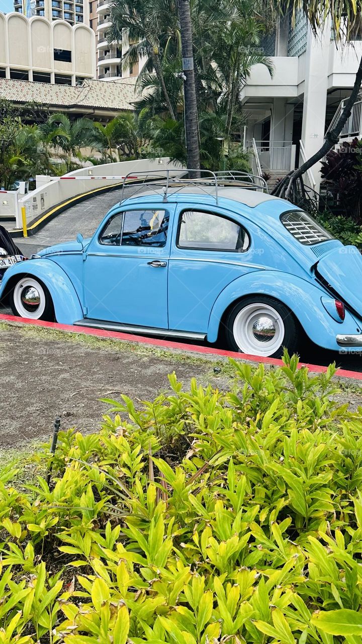 VW Bug