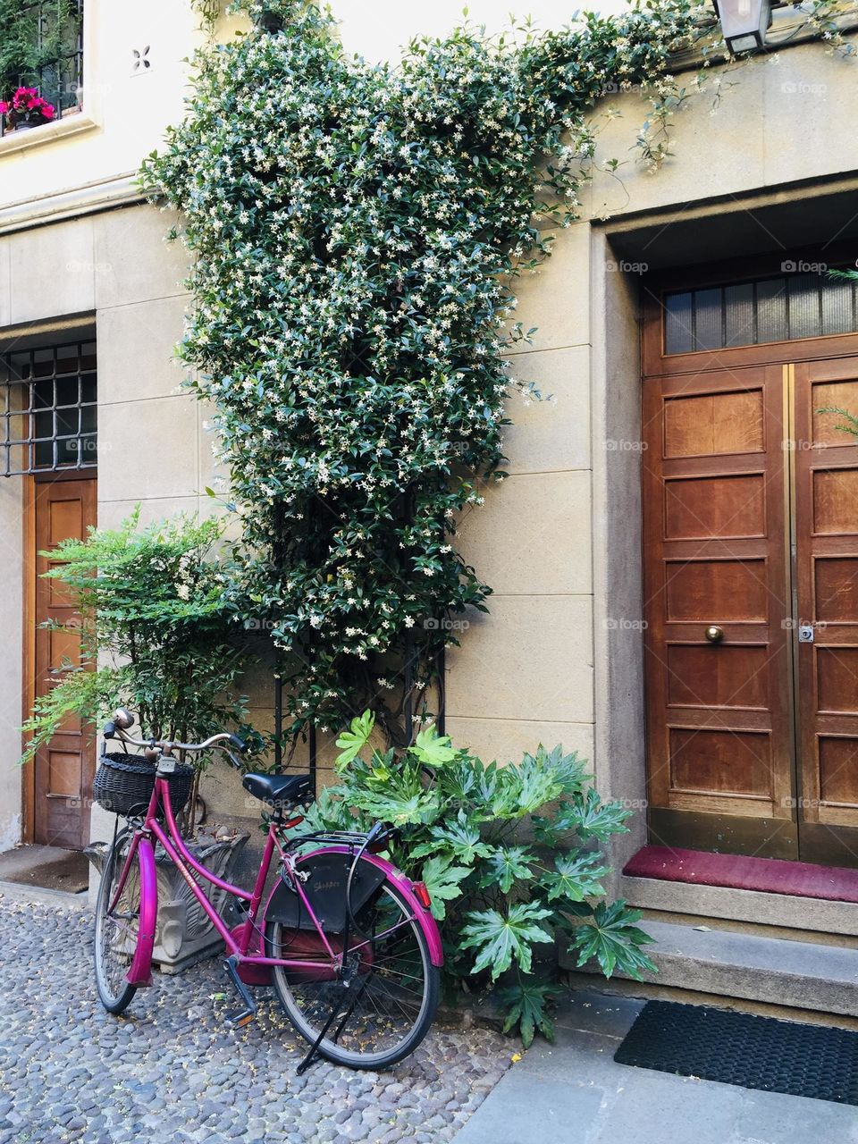 Magenta bicycle parked outside the entrance of an house 