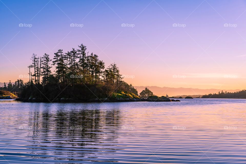 Purple tones shine on rock and water during dusk on Pacific Ocean coastline of Vancouver Island 