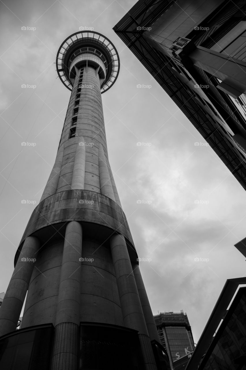 looking up at the sky tower