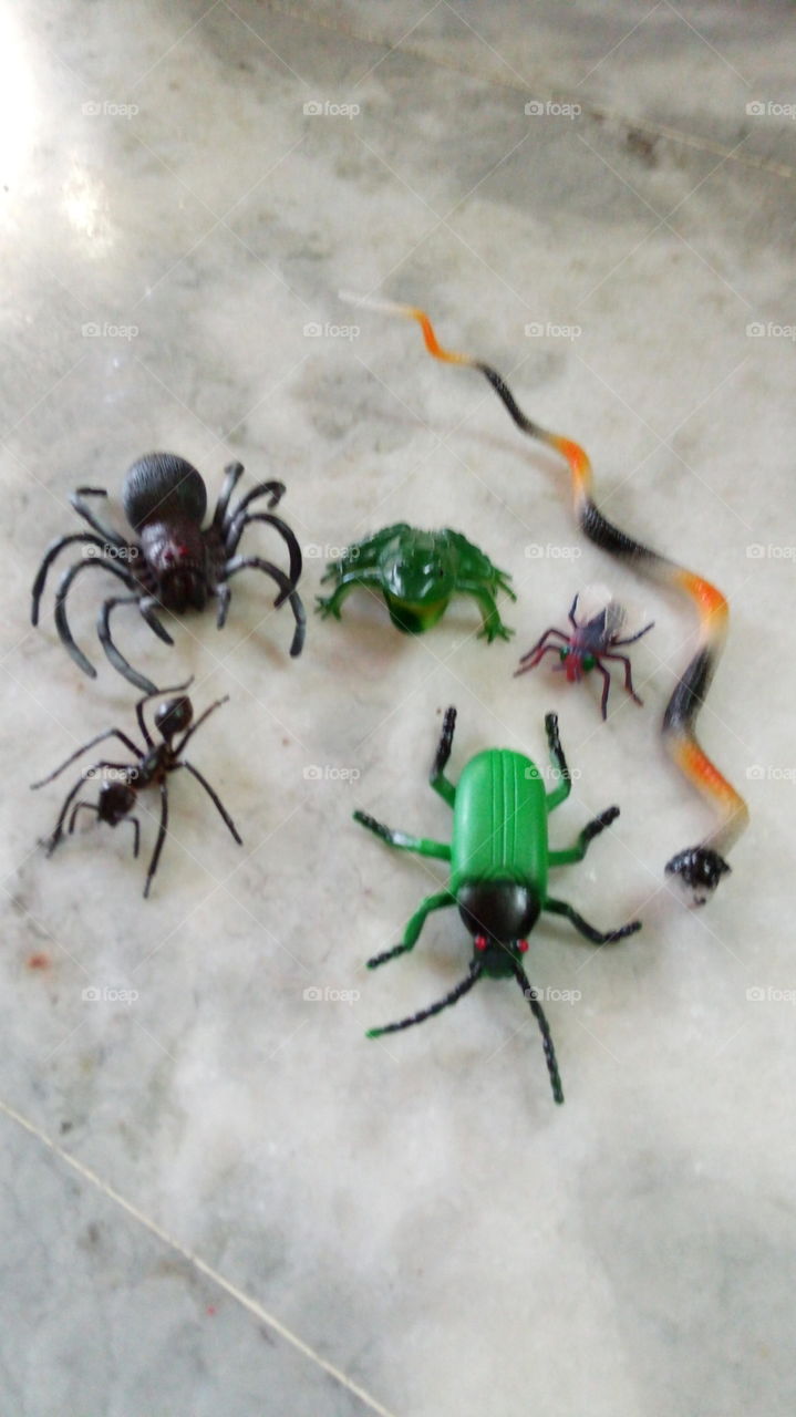 Insect Rubber Toys Spider Fly Cockroache Snake Ant Frog