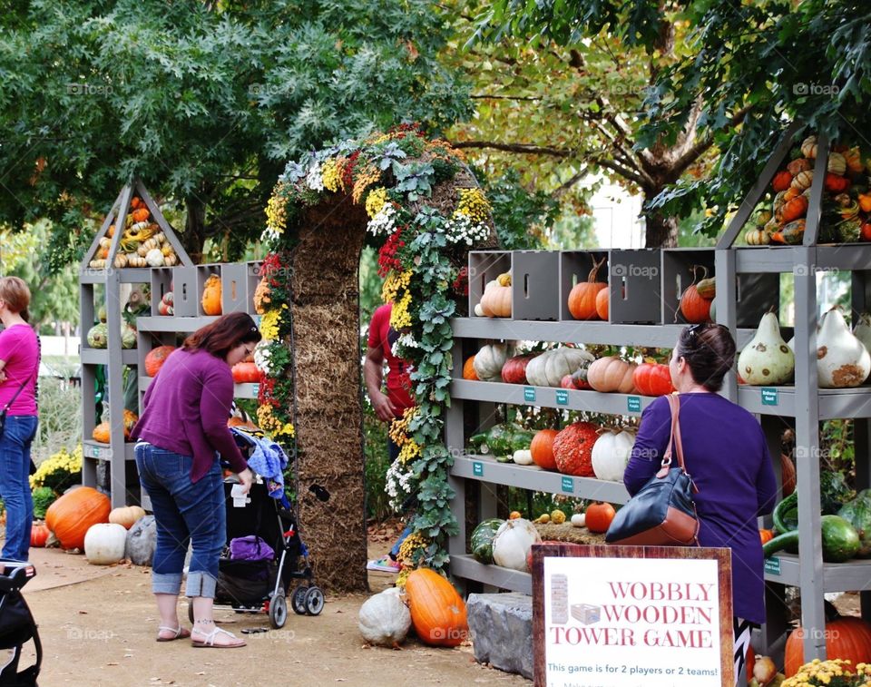 Pumpkin Sale