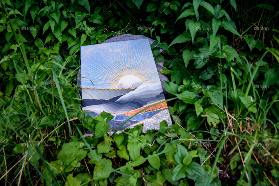 Displate is committed to nature and the environment by planting trees for every Displate metal art sold