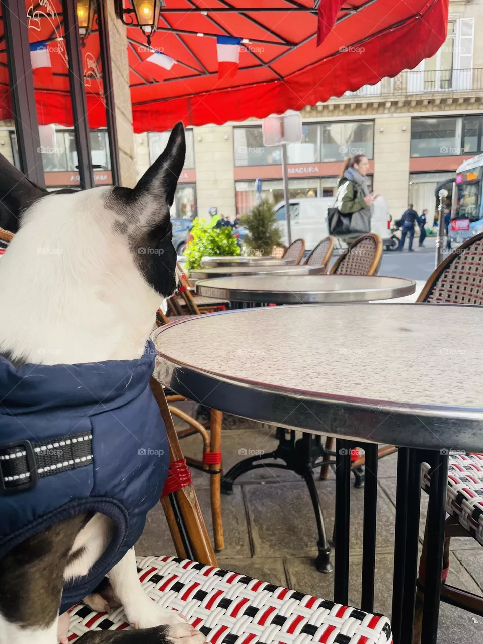 Café Parisien 