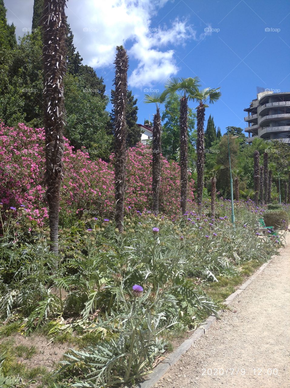 Крым Мисхор 2020