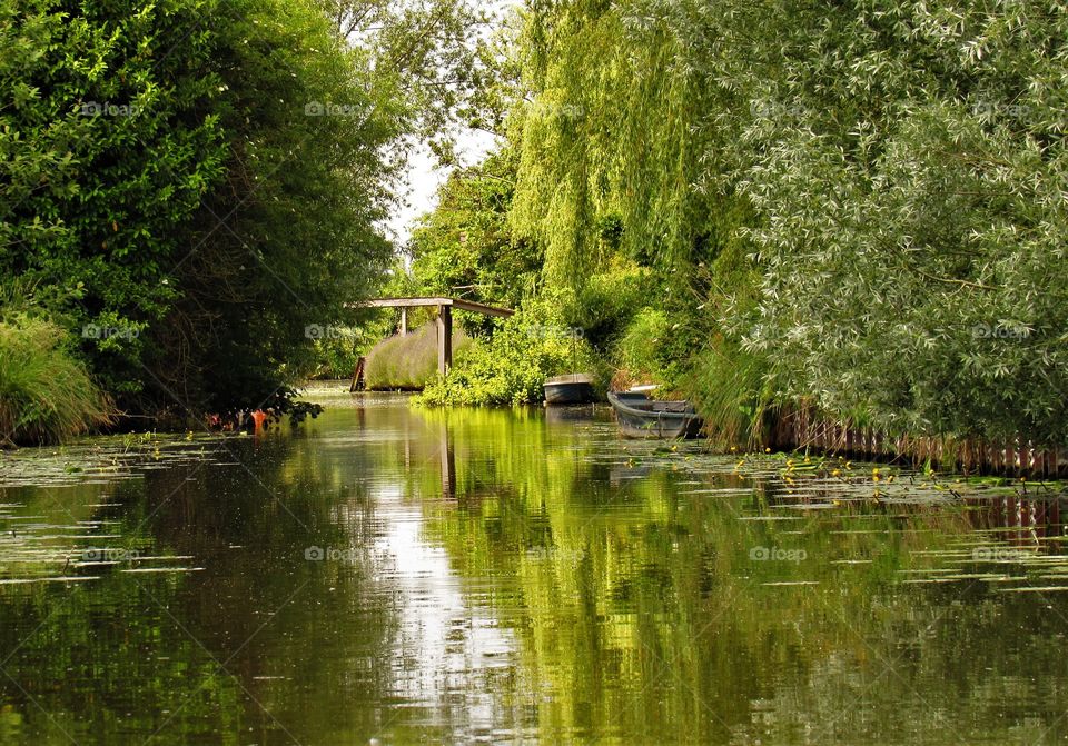 Marais de Saint Omer