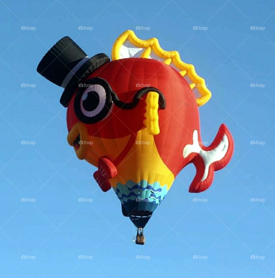 Mr. Fish Balloon