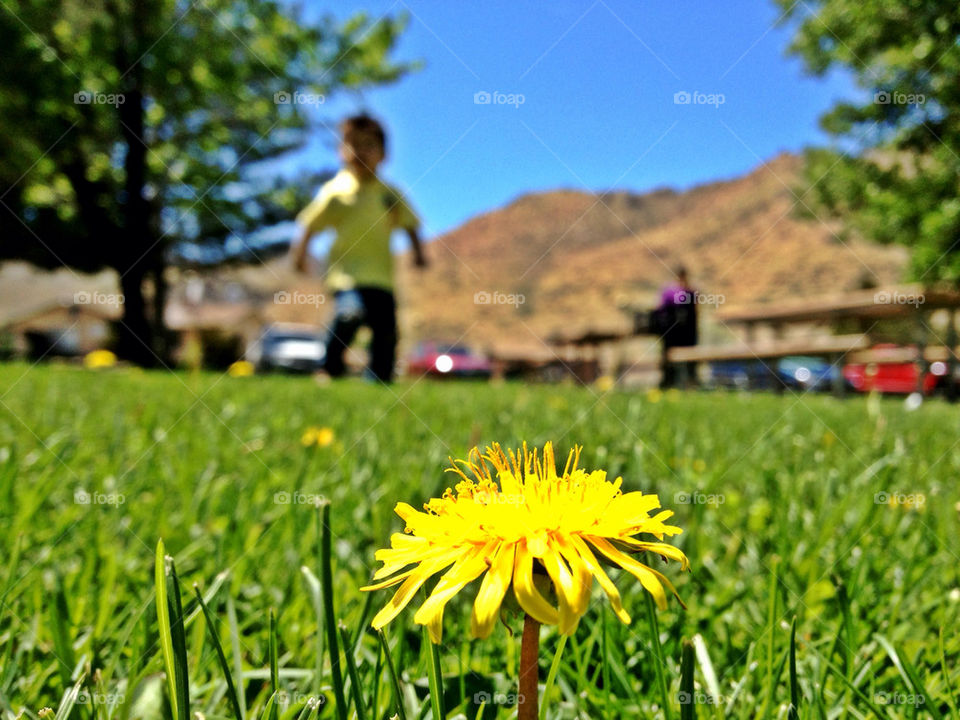 nature flower park kids by albert.escobedo