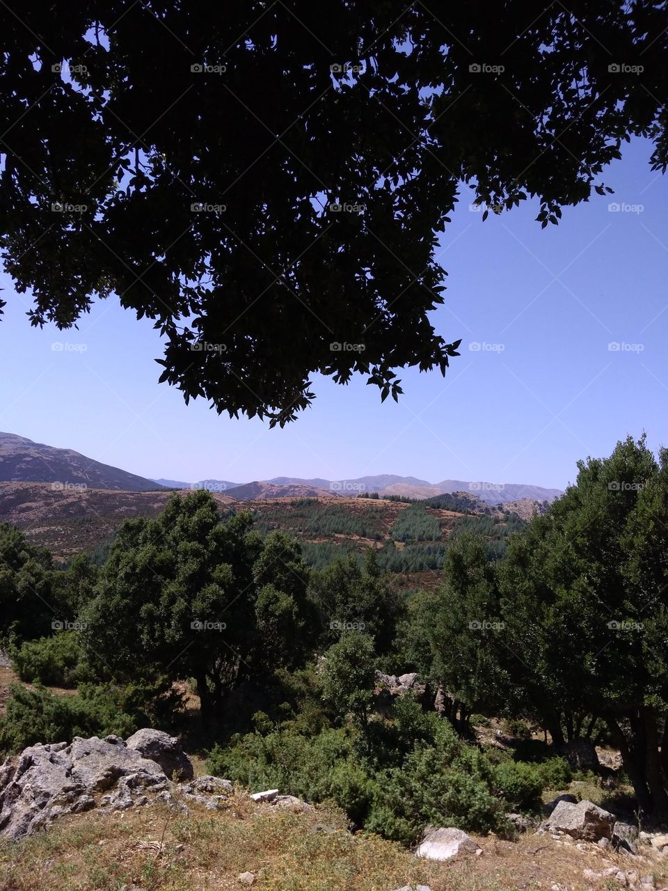 Editors' Choice - Photo of the Week