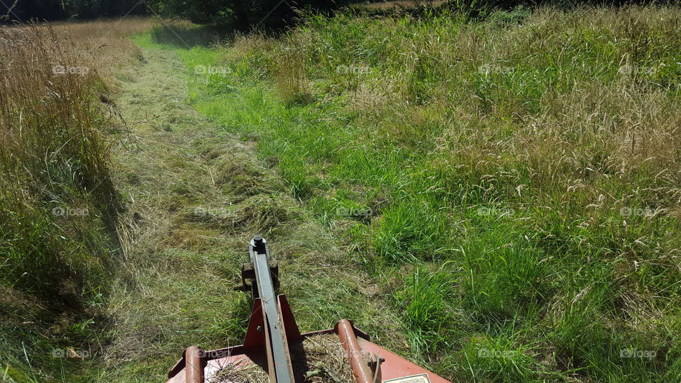 mowing Field