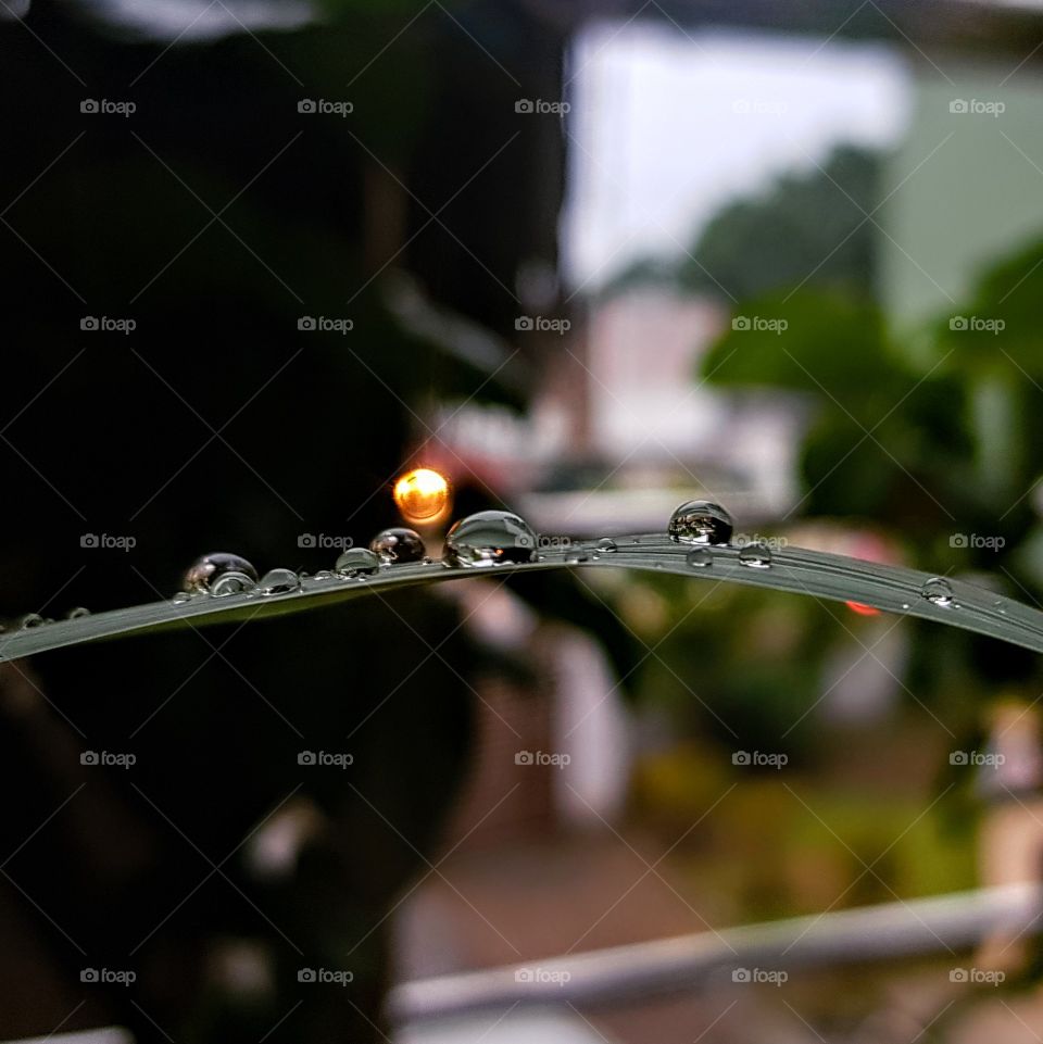 raindrops