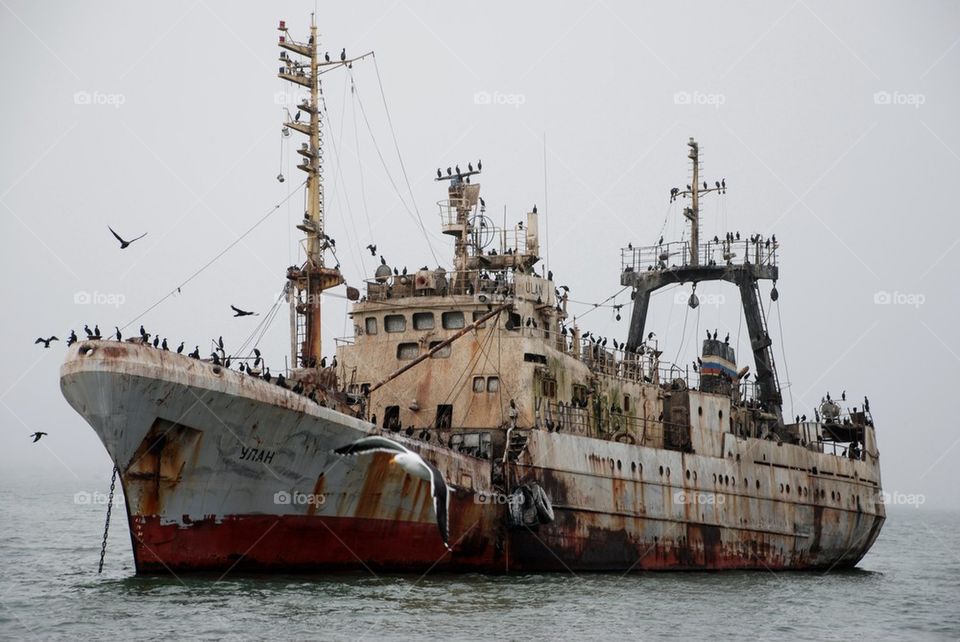 Abandoned ship, home to hundreds of Cape Cormorants