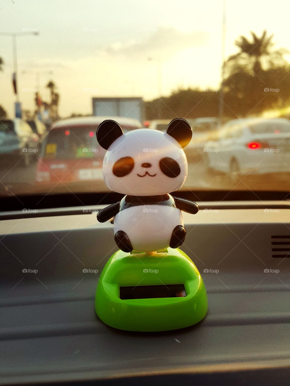 Panda in the car