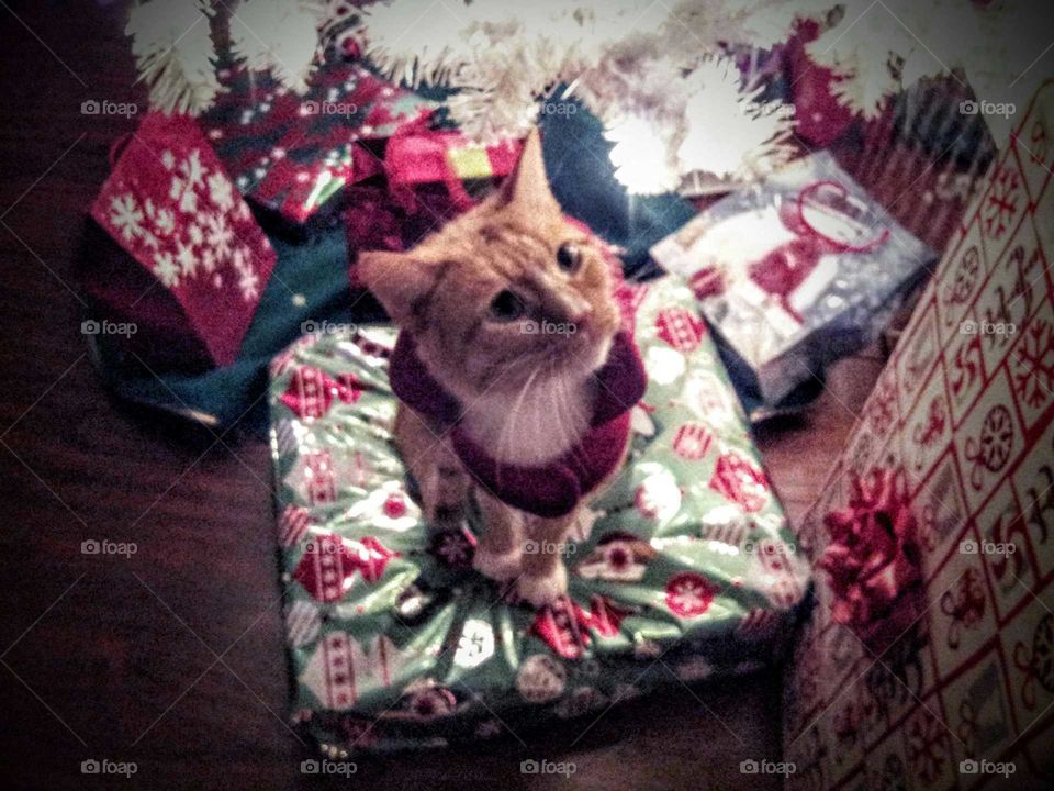 Can I open just one gift?