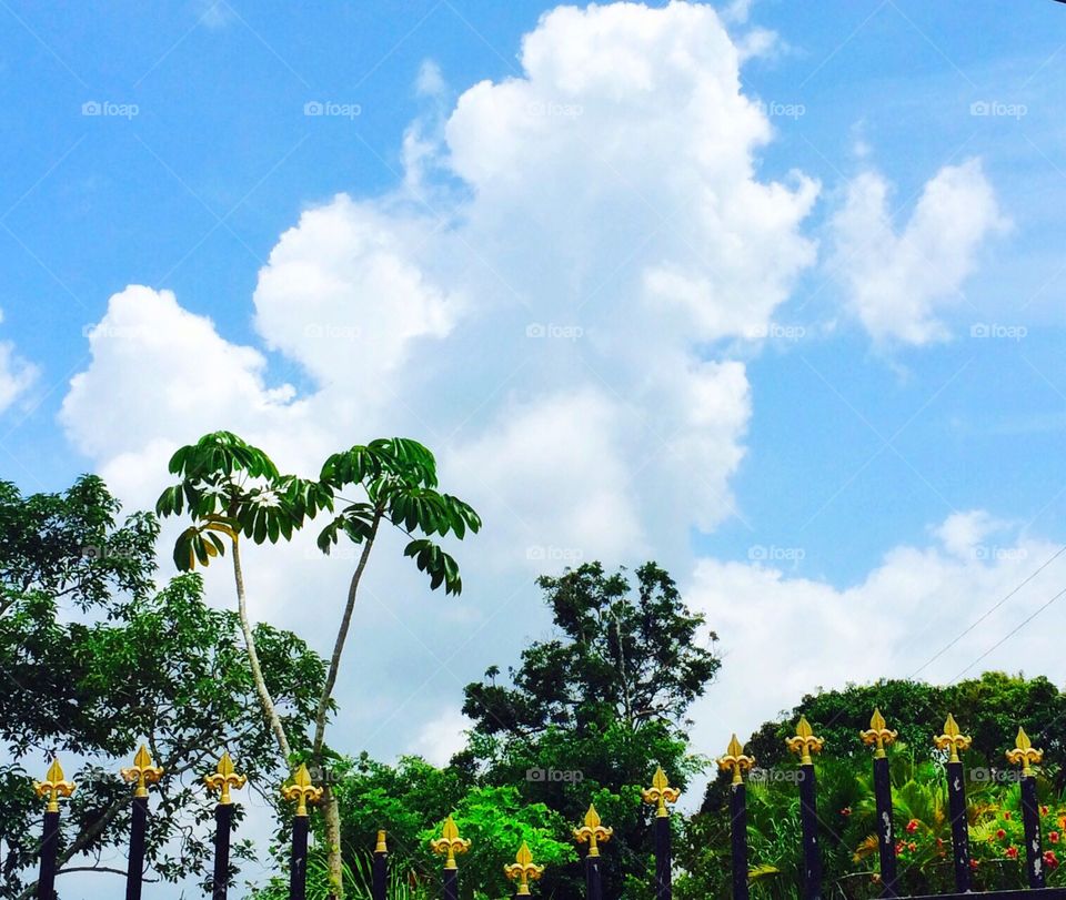 Beautiful day. The clouds to me looks like Cupid blowing the heart