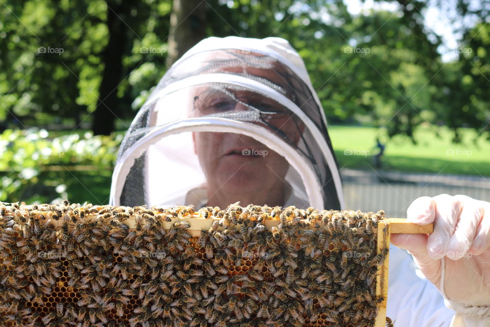 Beekeeper working in his apiary