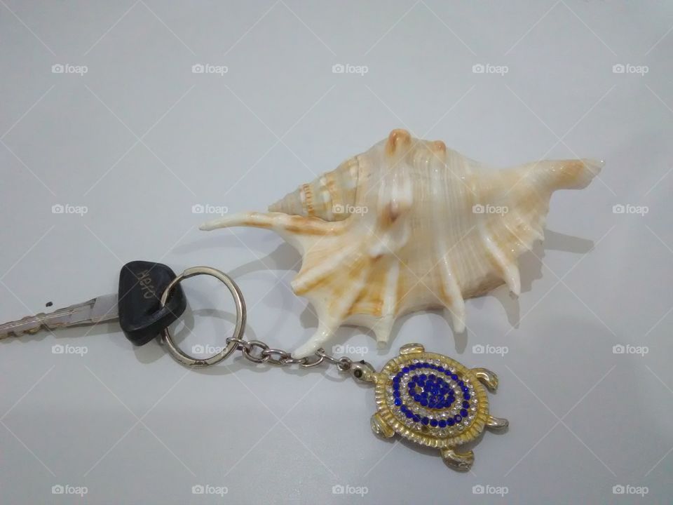 This is a very beautiful sanga and key chen.