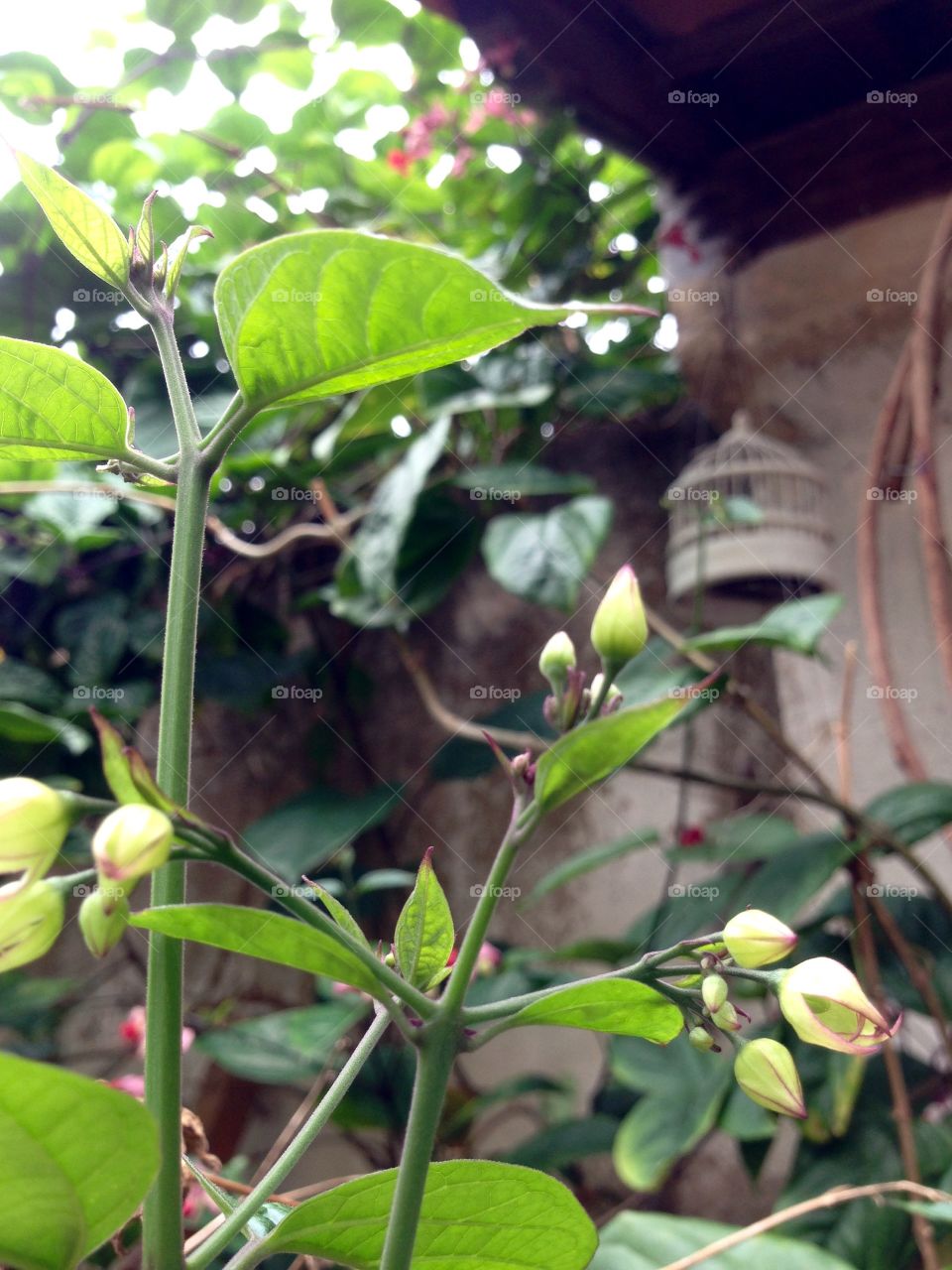 There are space to the green and brown