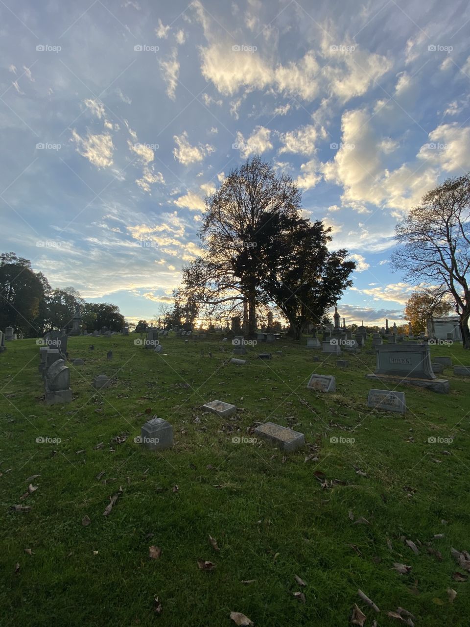 Soils off in the distance 