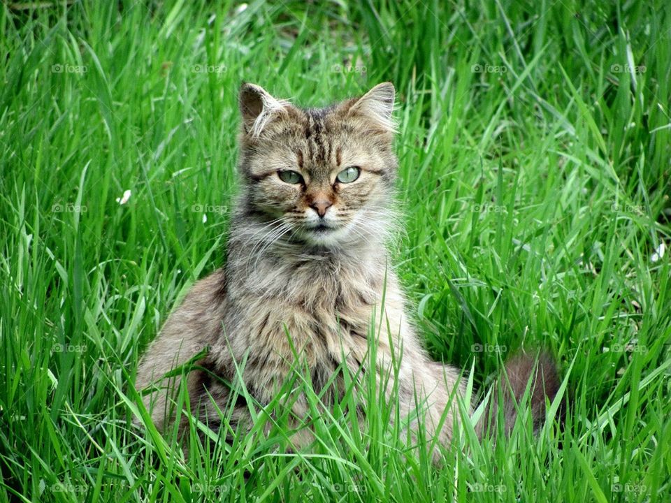 На прогулке