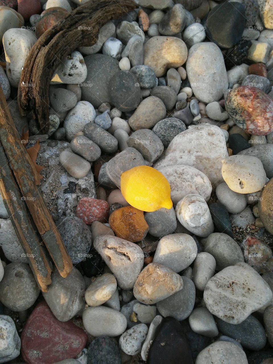 beach lemon