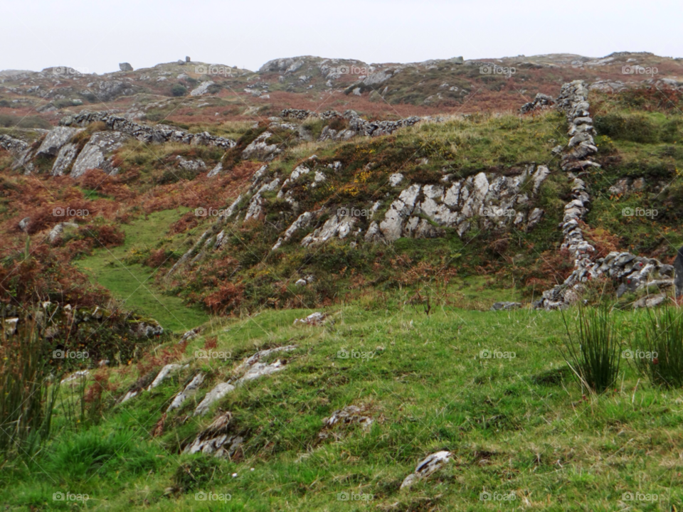 ireland grass rocks bracken by kshapley