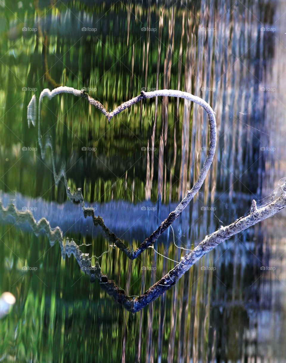 branches and reflection transformed to a heart.