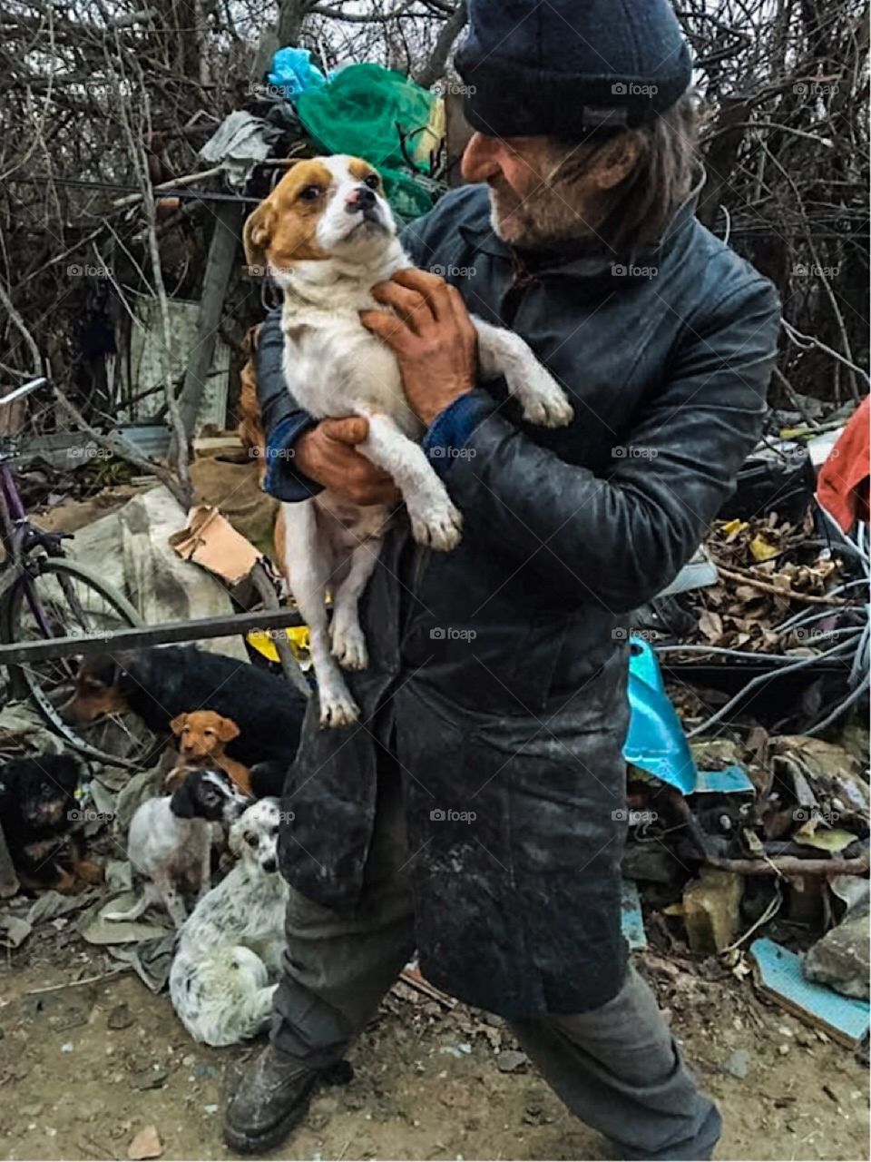 homeless man with his dogs, serbia.