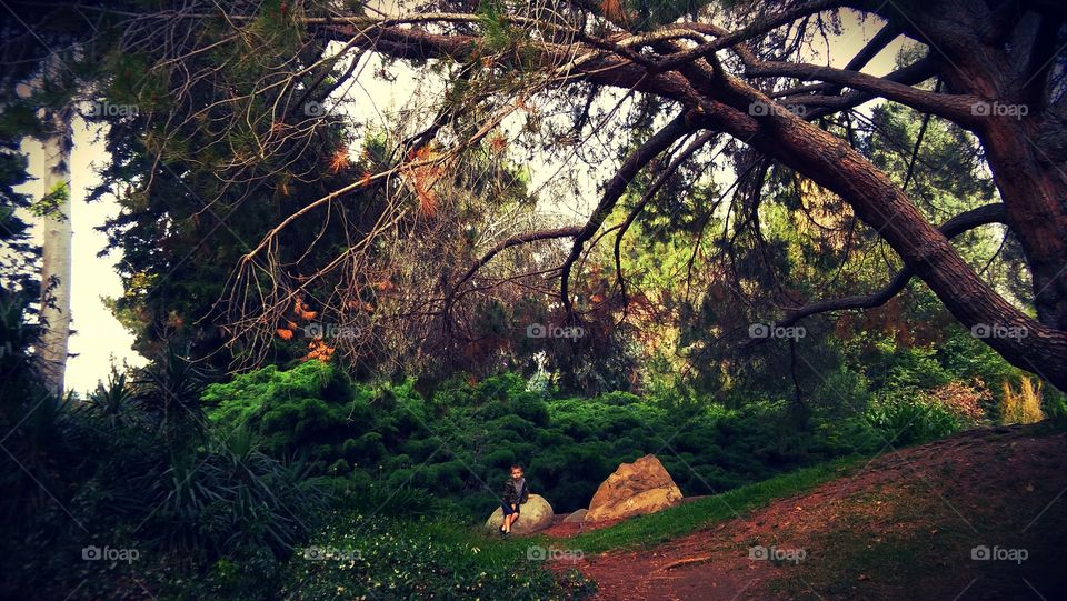 CSUF Arboretum, Fullerton California