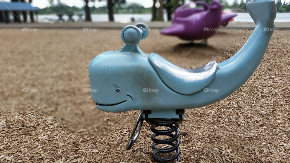 park whale