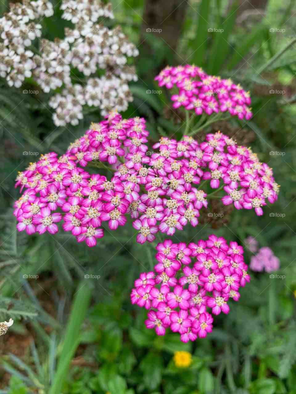 First signs of autumn