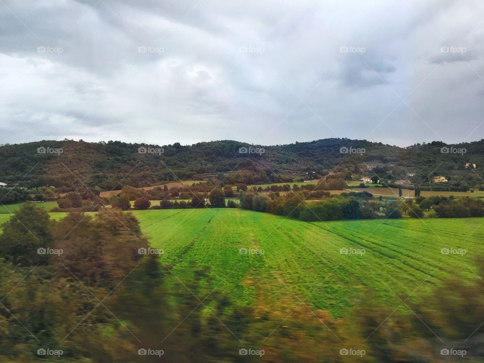 Tuscany field 