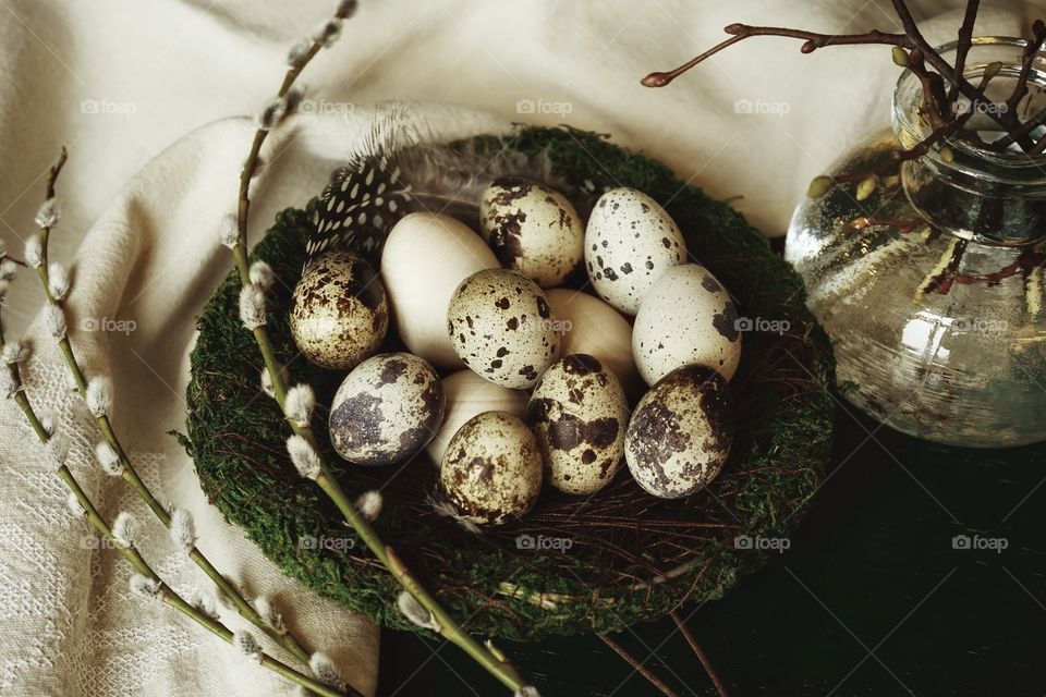 Eggs branch tree buds textile nest easter spring close-up