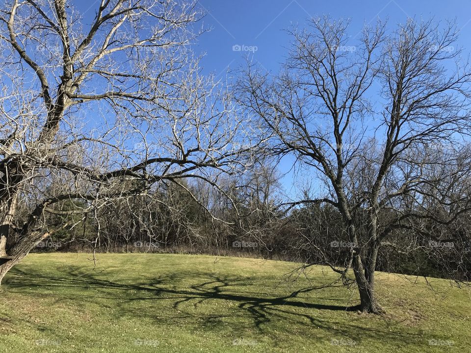 Iowa country 